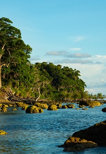 Neil Island